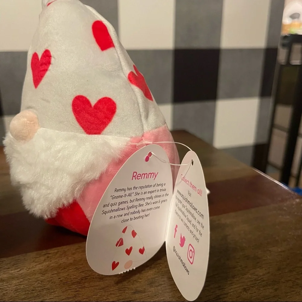 Gnome Valentine Squishmallow Remmy‎